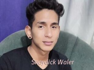Snaydick_Waler