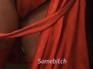 Somebitch