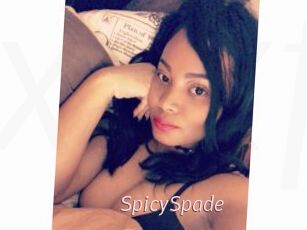 SpicySpade