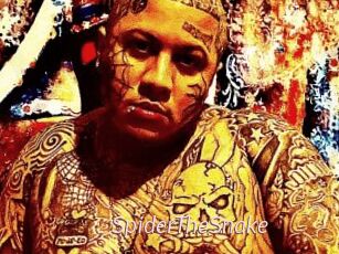SpiderTheSnake