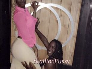 StallionPussy xxx Free Sites