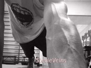 StevieVeins