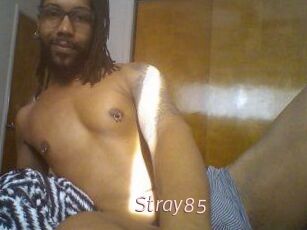 Stray85
