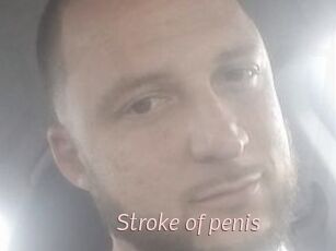 Stroke_of_penis