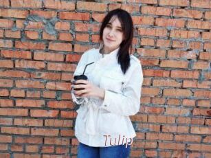 Tulip