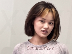 Sandrabricks