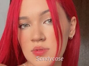 Sandycase