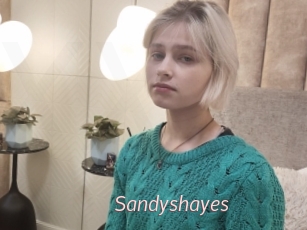 Sandyshayes
