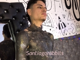Santiagorabbits