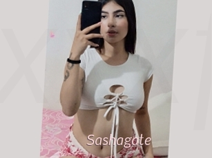 Sashagate