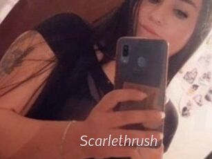 Scarlethrush