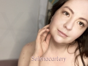 Selenacartery