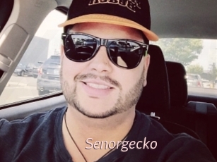 Senorgecko