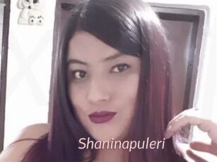Shaninapuleri