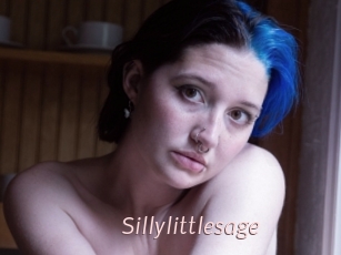 Sillylittlesage