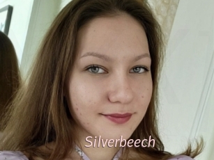 Silverbeech
