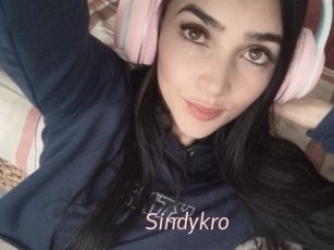 Sindykro