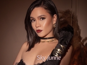 Sky_junne