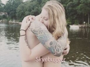 Skyebugger