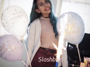 Slashbird