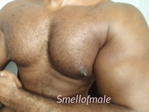 smellofmale xxx Free Sites