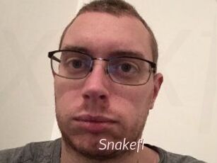 Snakefl