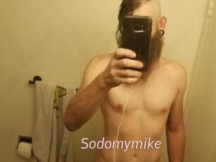 Sodomymike