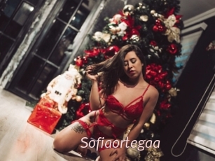 Sofiaortegaa