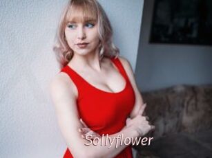 Sollyflower