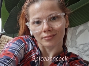 Spicebancock