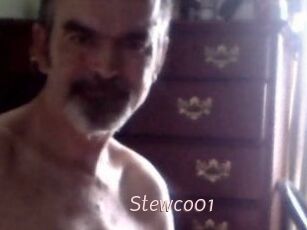 Stewco01