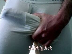 Stivbigdick