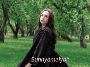 Sunnyamelybb