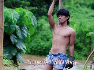 SuperbHORNYboy