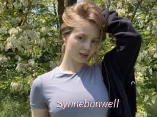 Synnebanwell