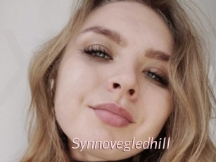 Synnovegledhill