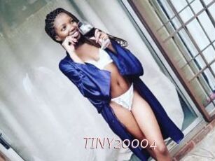 TINY20004