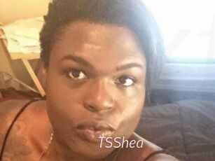 TS_Shea