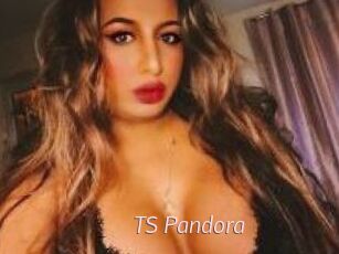 TS_Pandora