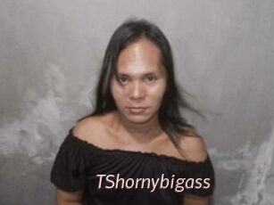 TShornybigass