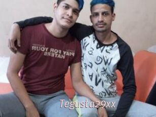 Tegusta29xx