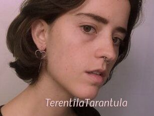 TerentilaTarantula