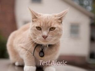 TestAlaric