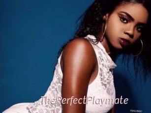 ThePerfectPlaymate