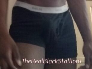 TheRealBlackStallion1