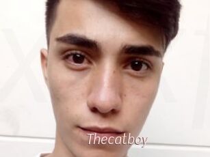 Thecatboy