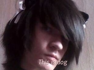 This_is_dog