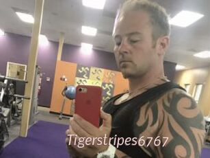 Tigerstripes6767