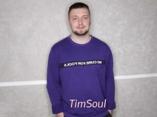 TimSoul