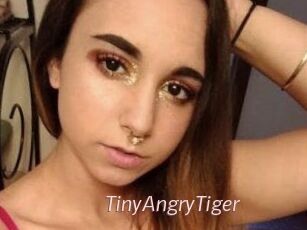 TinyAngryTiger